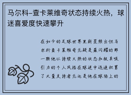 马尔科-查卡莱维奇状态持续火热，球迷喜爱度快速攀升