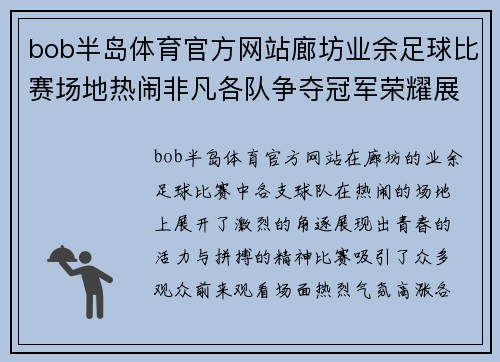 bob半岛体育官方网站廊坊业余足球比赛场地热闹非凡各队争夺冠军荣耀展现青春风采